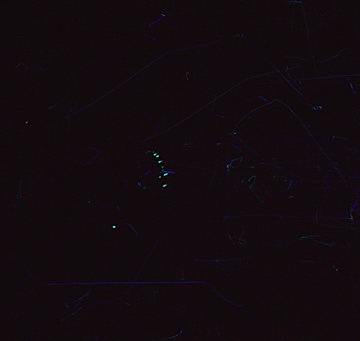 picture-1